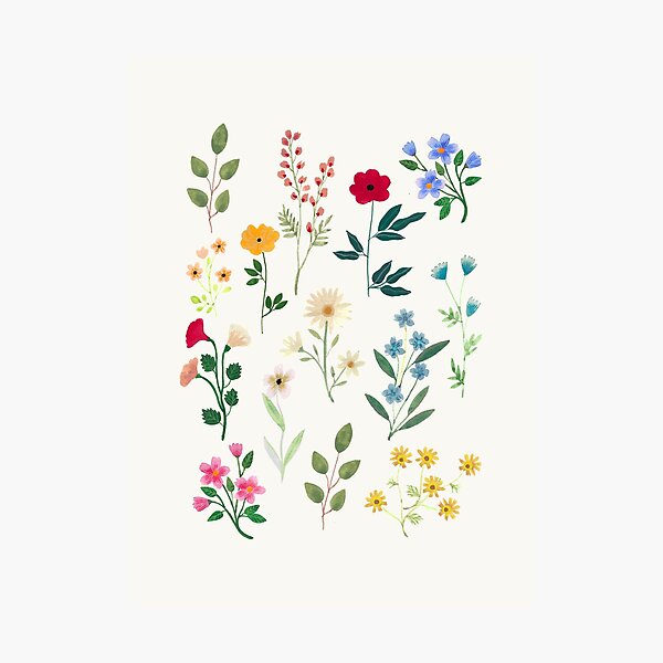Aperçu de l'œuvre Botanicals de printemps créée et vendue par artiisan.