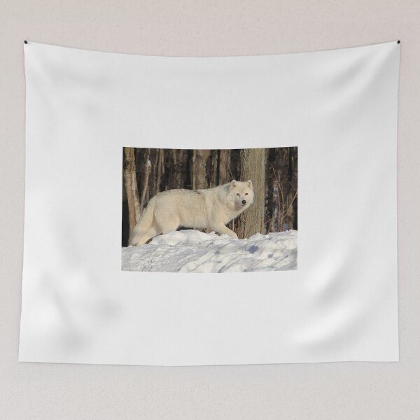 Item preview, Beautiful Arctic Wolf  (View Large) designed and sold by vette.