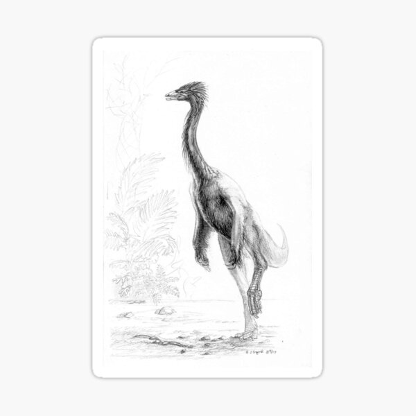 Beishanlong - The Minimalist Sticker