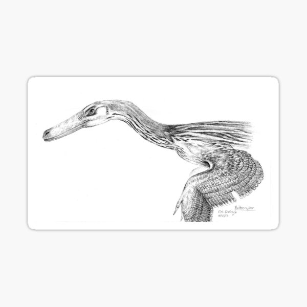 Buitreraptor - Resplendent in Grey Sticker