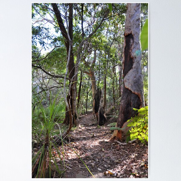 Item preview, Flaggy Creek Track designed and sold by Bev Woodman.