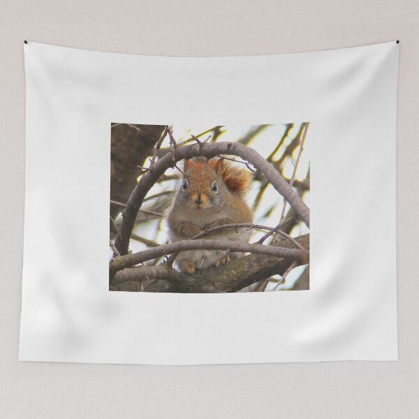 Item preview, Squirrel Retreat designed and sold by vette.