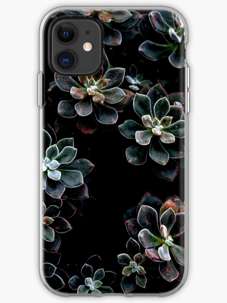 Fuzzy Succulents Iphone Case Cover By Aubrierodheim Redbubble