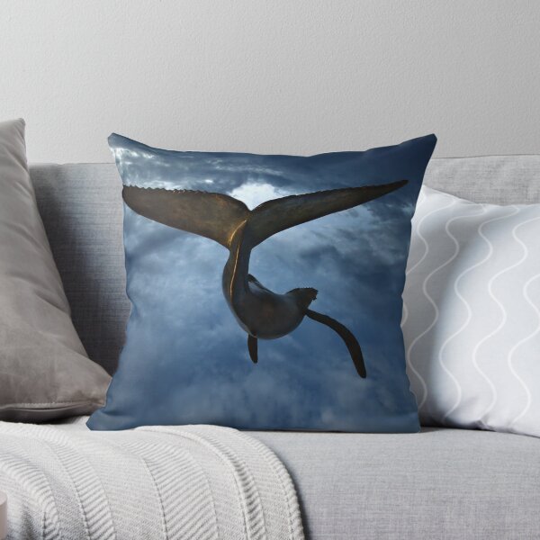 Throw Pillow