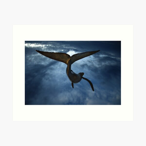 I Dream of Whales Art Print