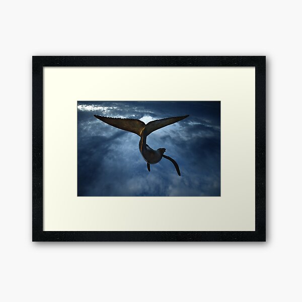 Framed Print