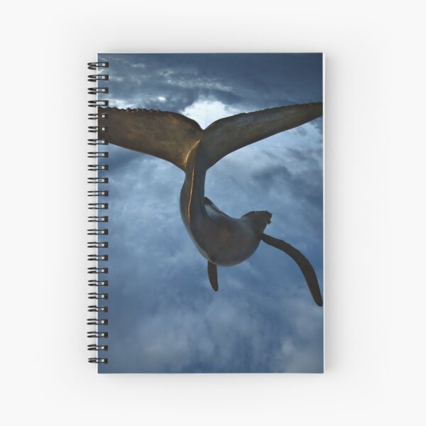 Spiral Notebook
