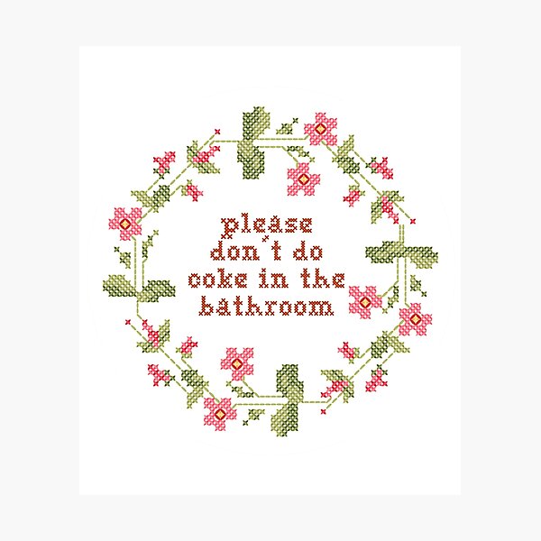 please don't do coke in the bathroom cross stitch Photographic Print