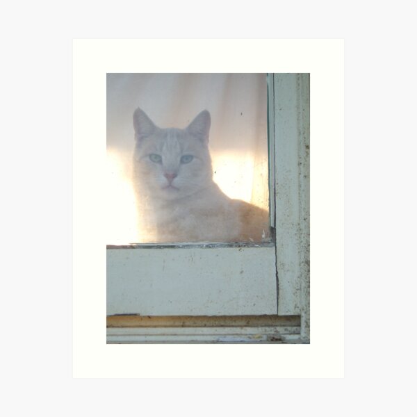 Item preview, There's Always a Cat Around designed and sold by LouJay.