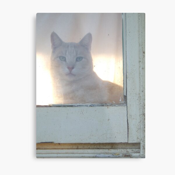 Item preview, There's Always a Cat Around designed and sold by LouJay.