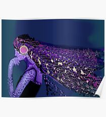 music Poster