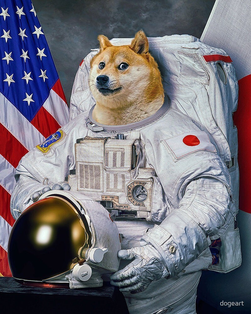 Resultado de imagen para doge to the moon