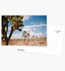 Joshua Tree Postcards