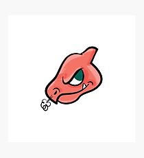 Charmeleon 005 Photographic Print