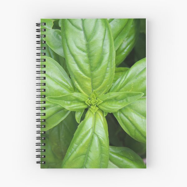 Item preview, My Basil designed and sold by annAHorton.
