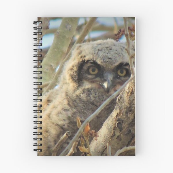 Item preview, Owlet in the nest designed and sold by annAHorton.