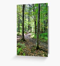 In The Woods With Nature Greeting Card