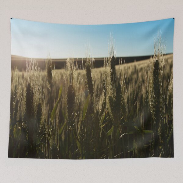 Item preview, Wheat Stalks Photography Print designed and sold by griffingphoto.