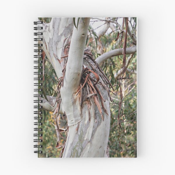 Item preview, Gum Tree designed and sold by Carolyn's Captures - Original Photohgraphy.