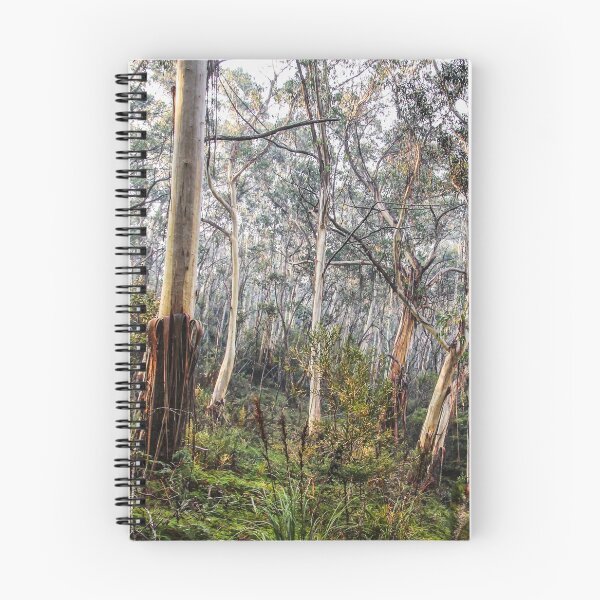 Item preview, Australian Bush 2 designed and sold by Carolyn's Captures - Original Photohgraphy.