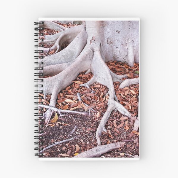 Item preview, Fig Tree 2 designed and sold by Carolyn's Captures - Original Photohgraphy.