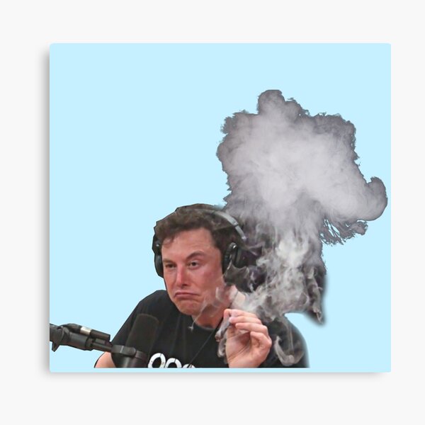 Elon Musk Smokes Canvas Print