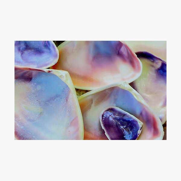 Item preview, Sea Shells - Pippies 1 designed and sold by Carolyn's Captures - Original Photohgraphy.