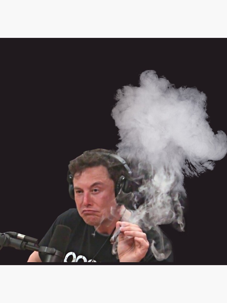 Elon Musk Smokes by stertube
