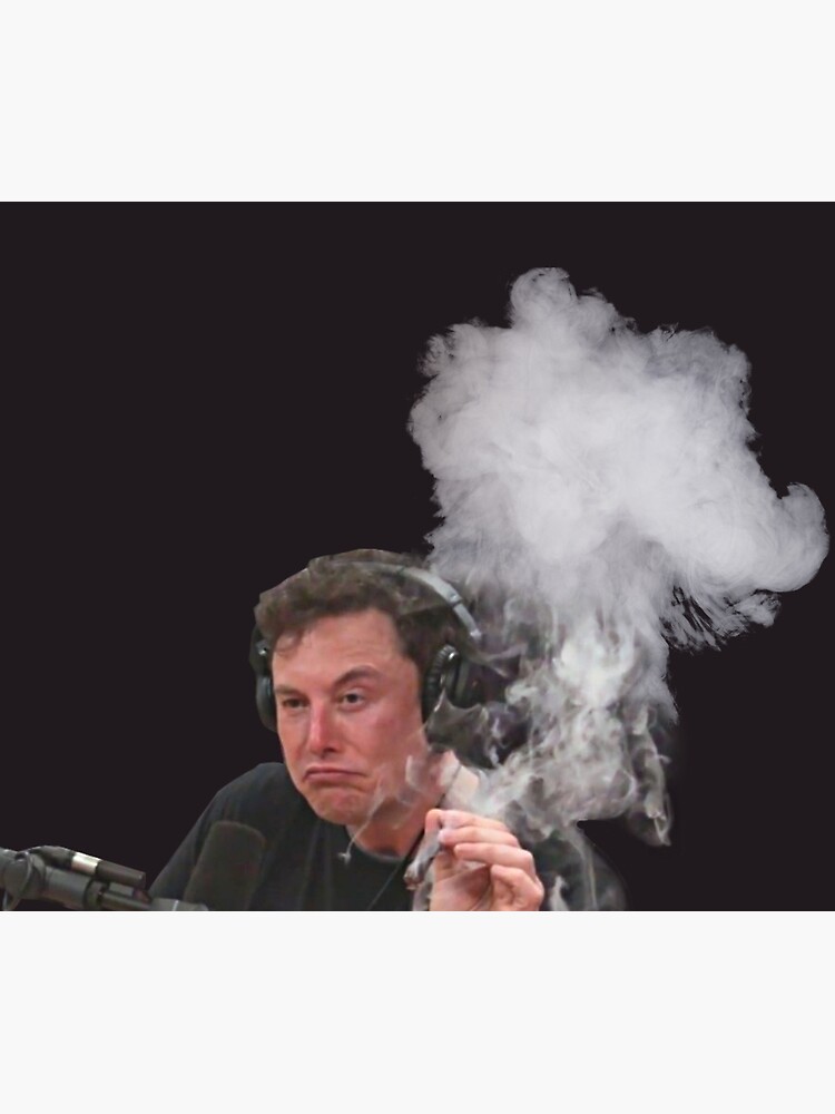 Elon Musk Smokes by stertube