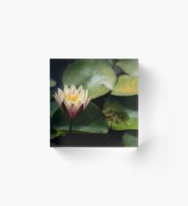Lotus Flower Acrylic Block