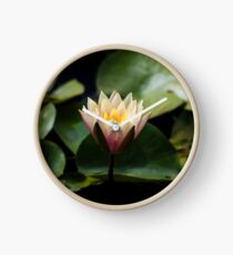 Lotus Flower Clock