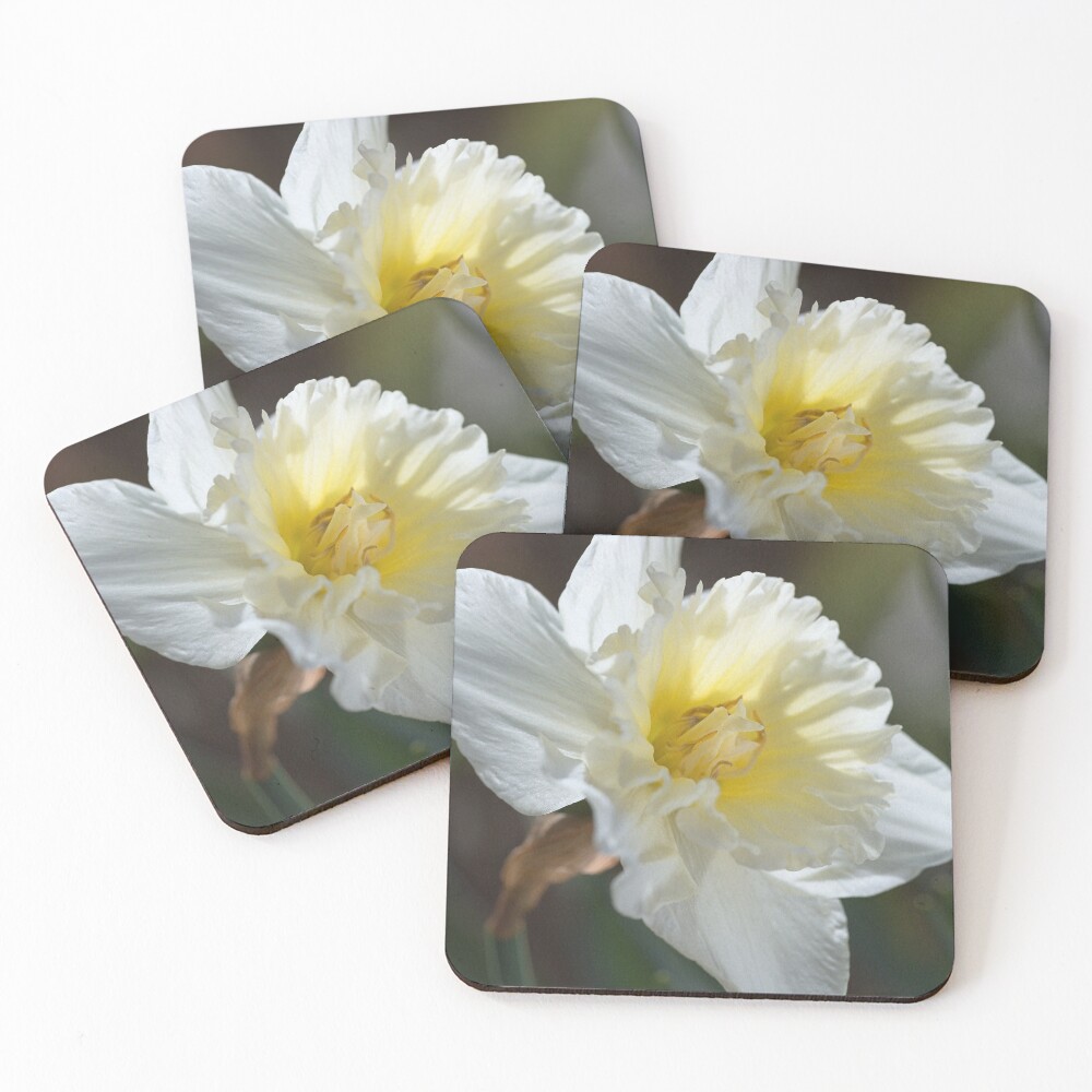 Item preview, Coasters (Set of 4) designed and sold by bubbleblue.