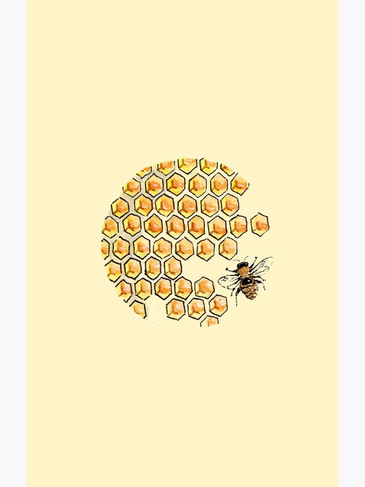 Bee art honey bee honeycomb beehive honey nature drawing