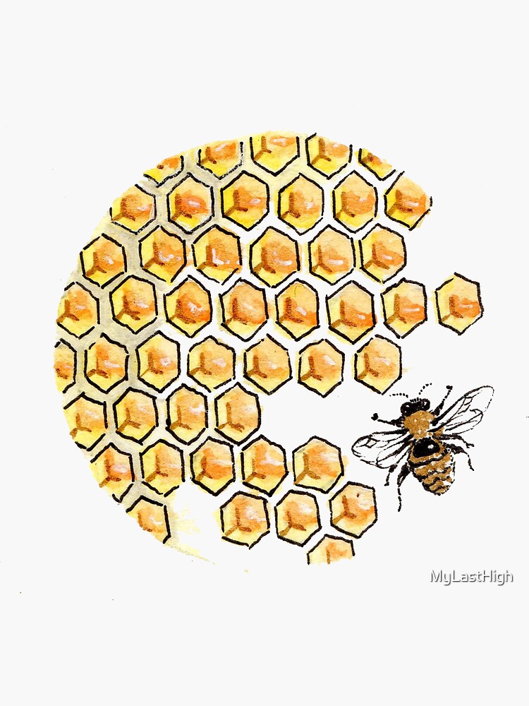 Bee art honey bee honeycomb beehive honey nature drawing