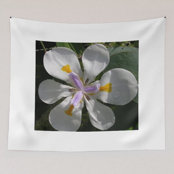 Item preview, Central Symmetry - Dietes iridioides designed and sold by lezvee.