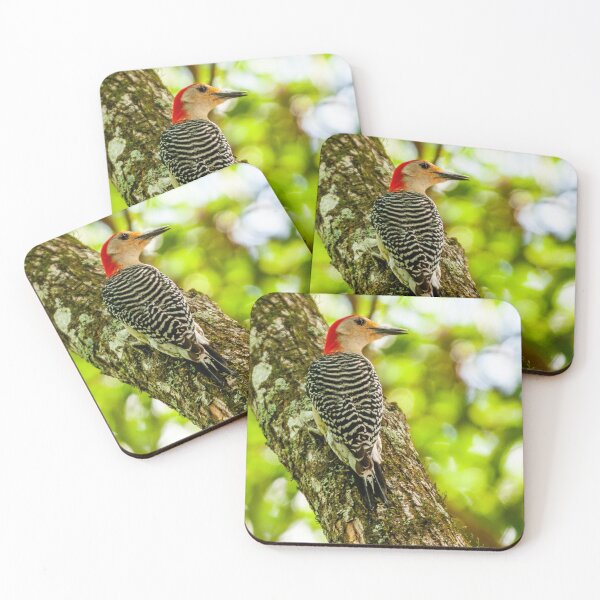 Item preview, Red-bellied woodpecker designed and sold by Dalyndigital Photography.