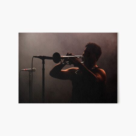 Cat Empire Art Board Print