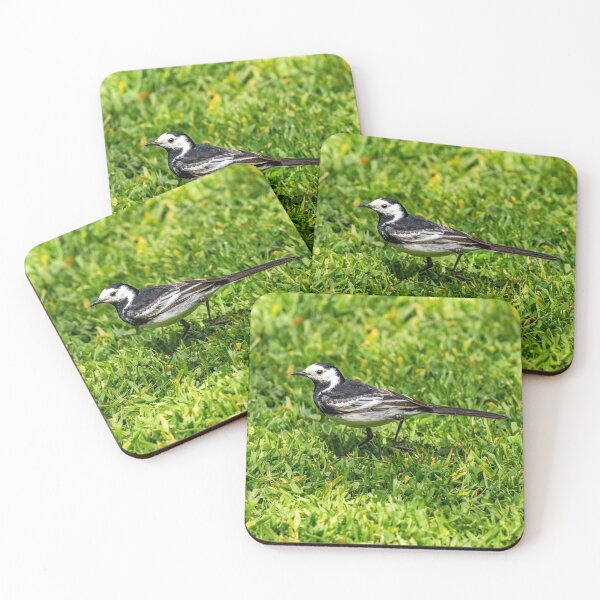 Item preview, Pied Wagtail chasing insects designed and sold by Dalyndigital Photography.