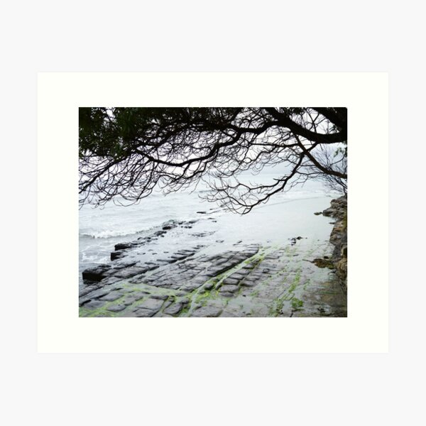 Item preview, Ancient Tessellated Pavement, Tasmania designed and sold by imaginethis.