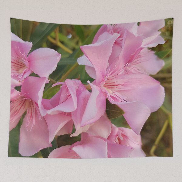 Item preview, Colours of Crete 42 - pink flowers designed and sold by ellenhenry.