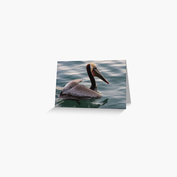 Item preview, Pelican Just Landed designed and sold by howardbragen.