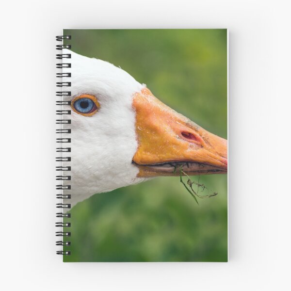 Item preview, Goosey Goosey Gander designed and sold by cmphotographs.