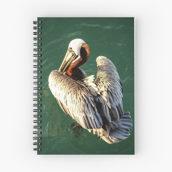 Item preview, Pelican My Feathers designed and sold by howardbragen.