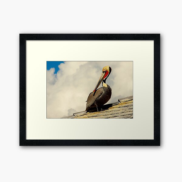 Item preview, Pelican On The Roof designed and sold by howardbragen.
