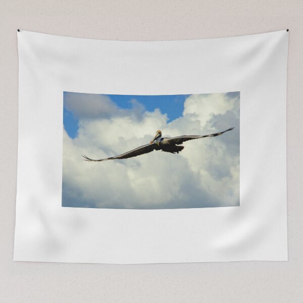Item preview, Pelican In Flight  designed and sold by howardbragen.
