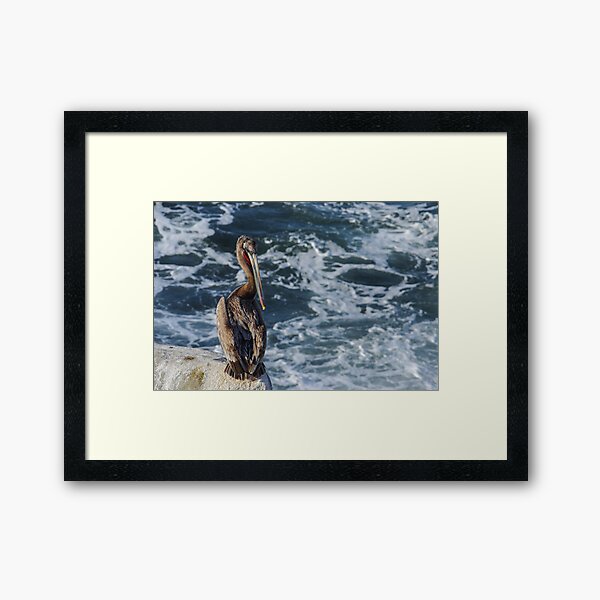 Item preview, Pelican On The Rocks designed and sold by howardbragen.