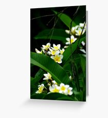 Fragrant Greeting Card