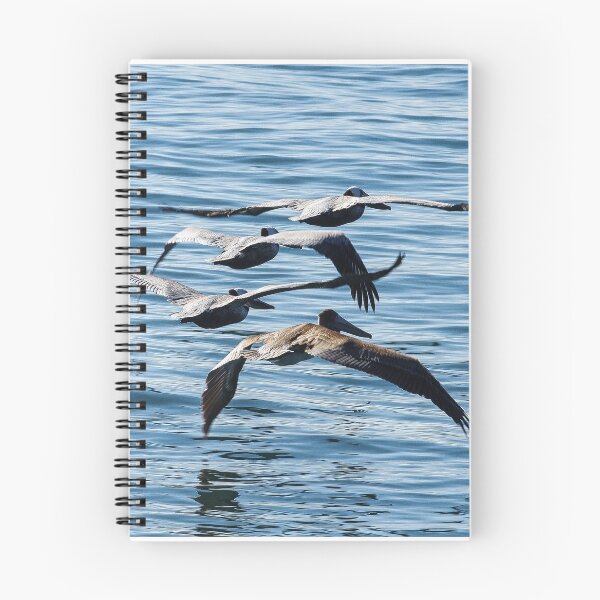 Item preview, Brown Pelicans Flying In Formation designed and sold by howardbragen.
