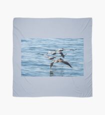 Brown Pelicans Flying In Formation Scarf