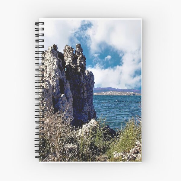 Item preview, Mono Lake Tufa designed and sold by Nancy Richard.